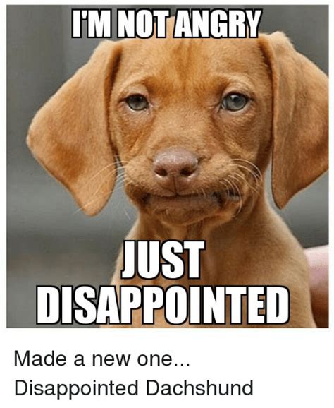 disappointed meme|when people disappoint you memes.